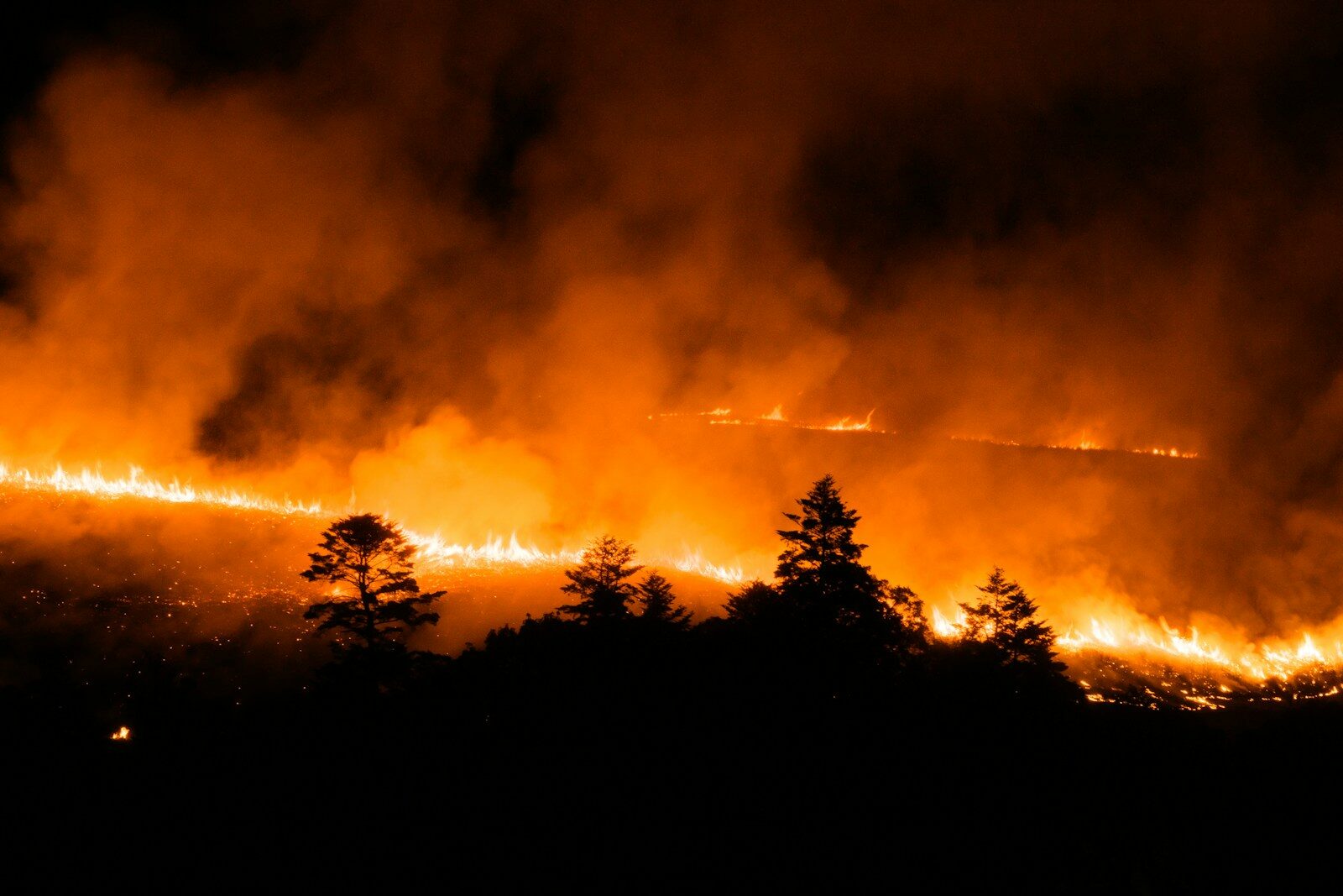 A large fire blazing in the sky over a forest